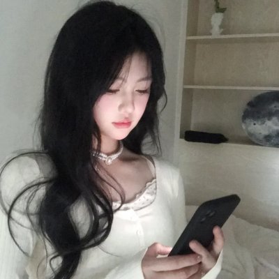 海燕双飞封面